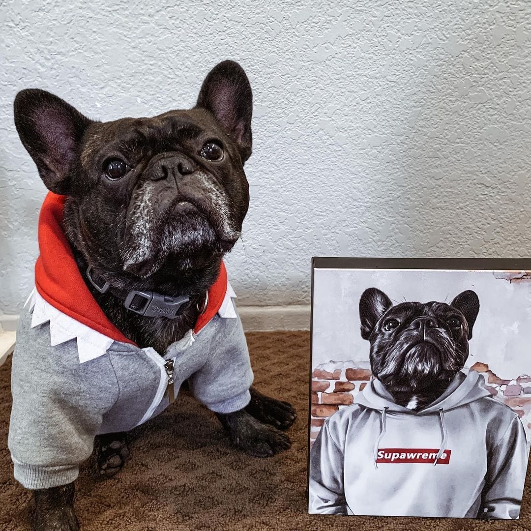 The Hypebeast - Custom Pet Canvas