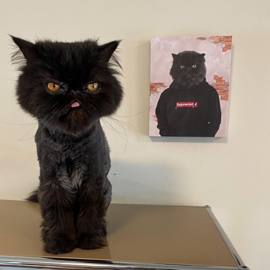 "Crown and Paw - Canvas The Hypebeast - Custom Pet Canvas 8"" x 10"" / Black"