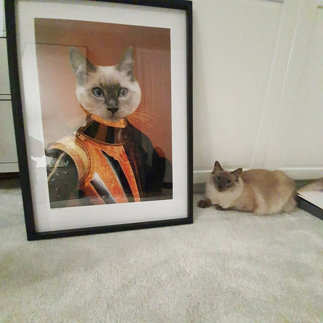 The Knight - Custom Pet Poster