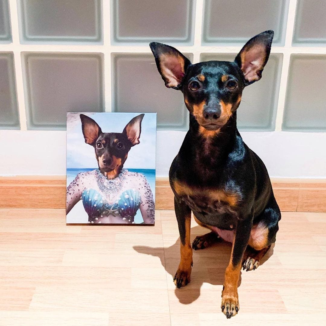 The Mermaid - Custom Pet Canvas