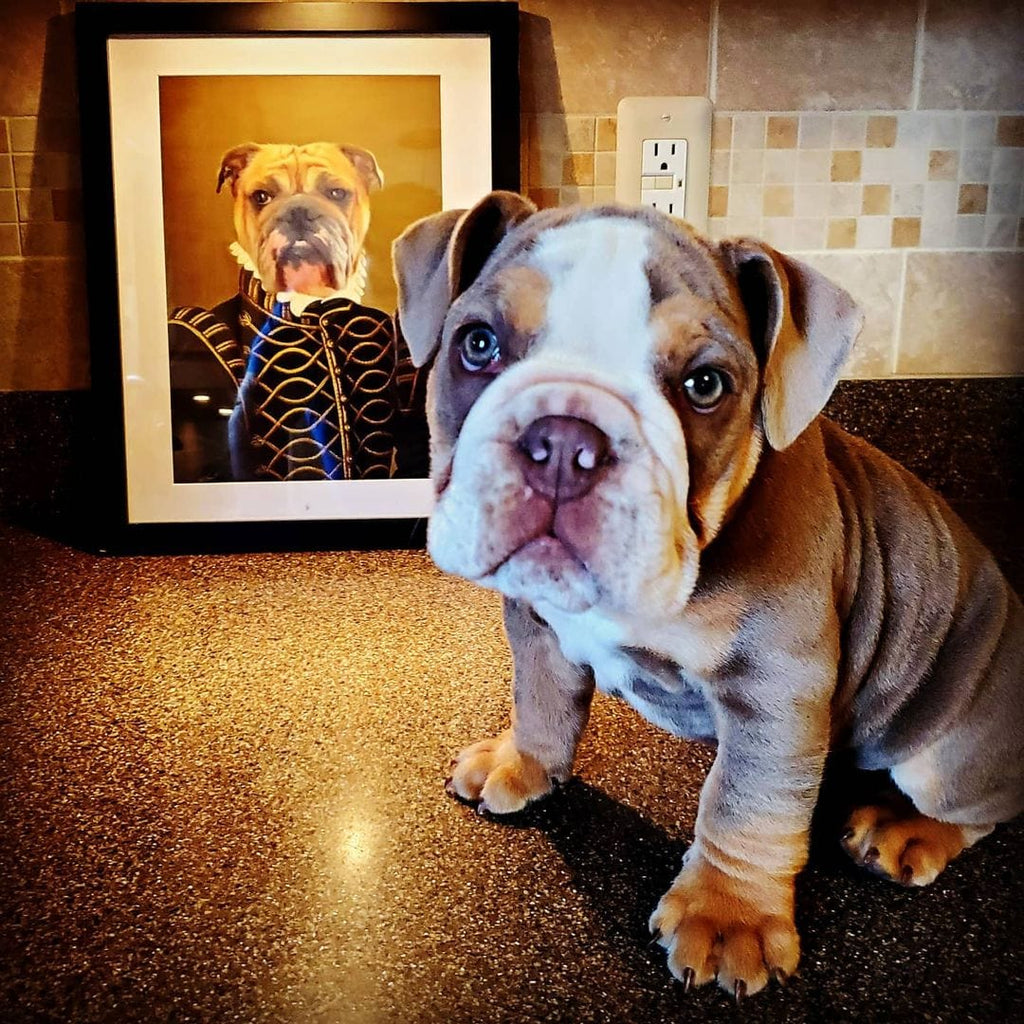 The Noble - Custom Pet Poster