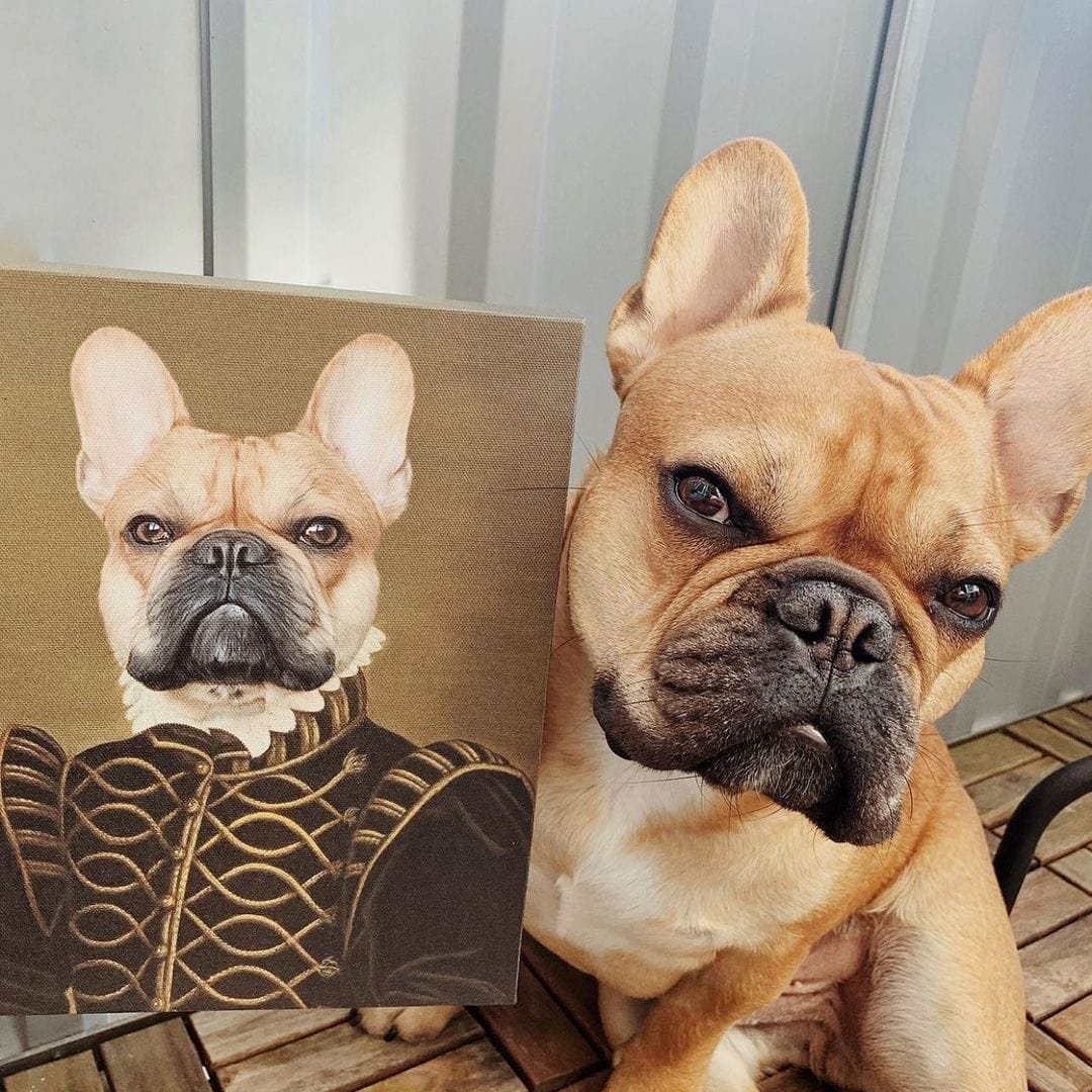 "Crown and Paw - Canvas The Noble - Custom Pet Canvas 8"" x 10"" / Unframed"