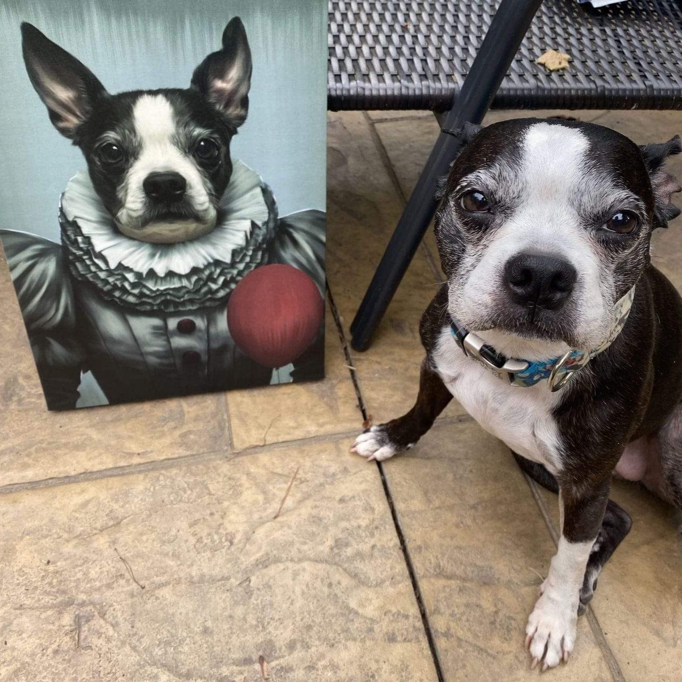 Custom Crown and Paw Halloween Pet Portrait