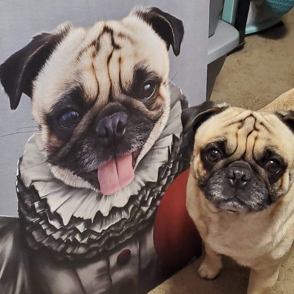 Custom Crown and Paw Halloween Pet Portrait