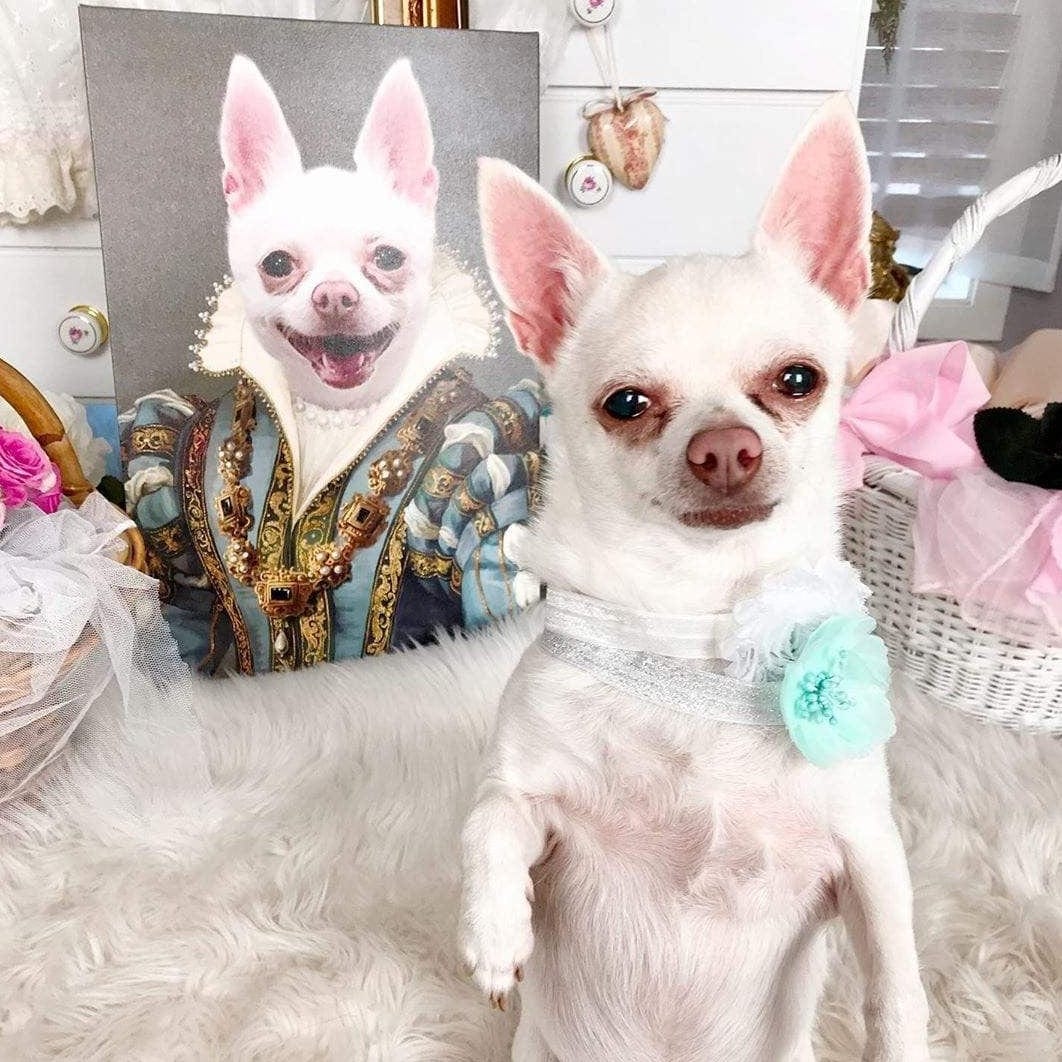 Custom Crown & Paw Portrait - One Pet