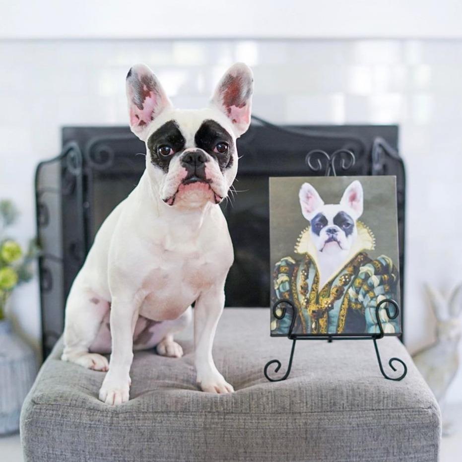 Custom Crown & Paw Portrait - One Pet