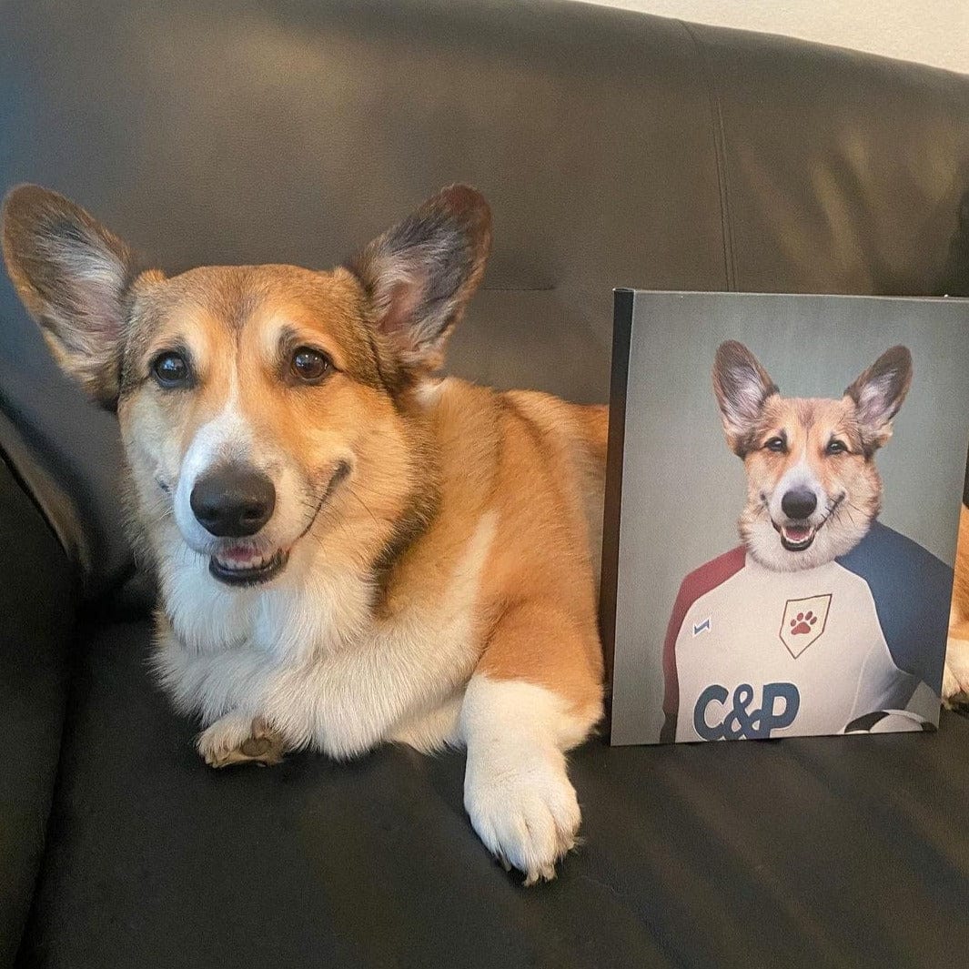The Soccer Player - Custom Pet Canvas