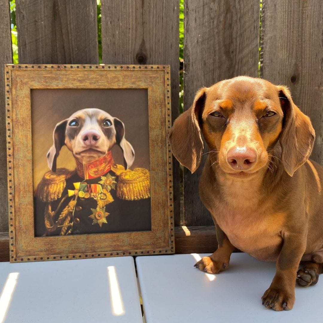 The Veteran - Custom Pet Poster