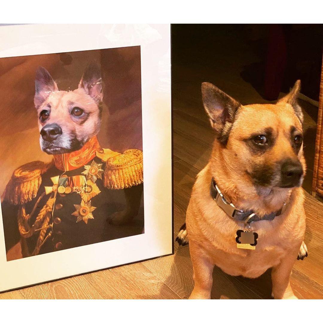 The Veteran - Custom Pet Poster