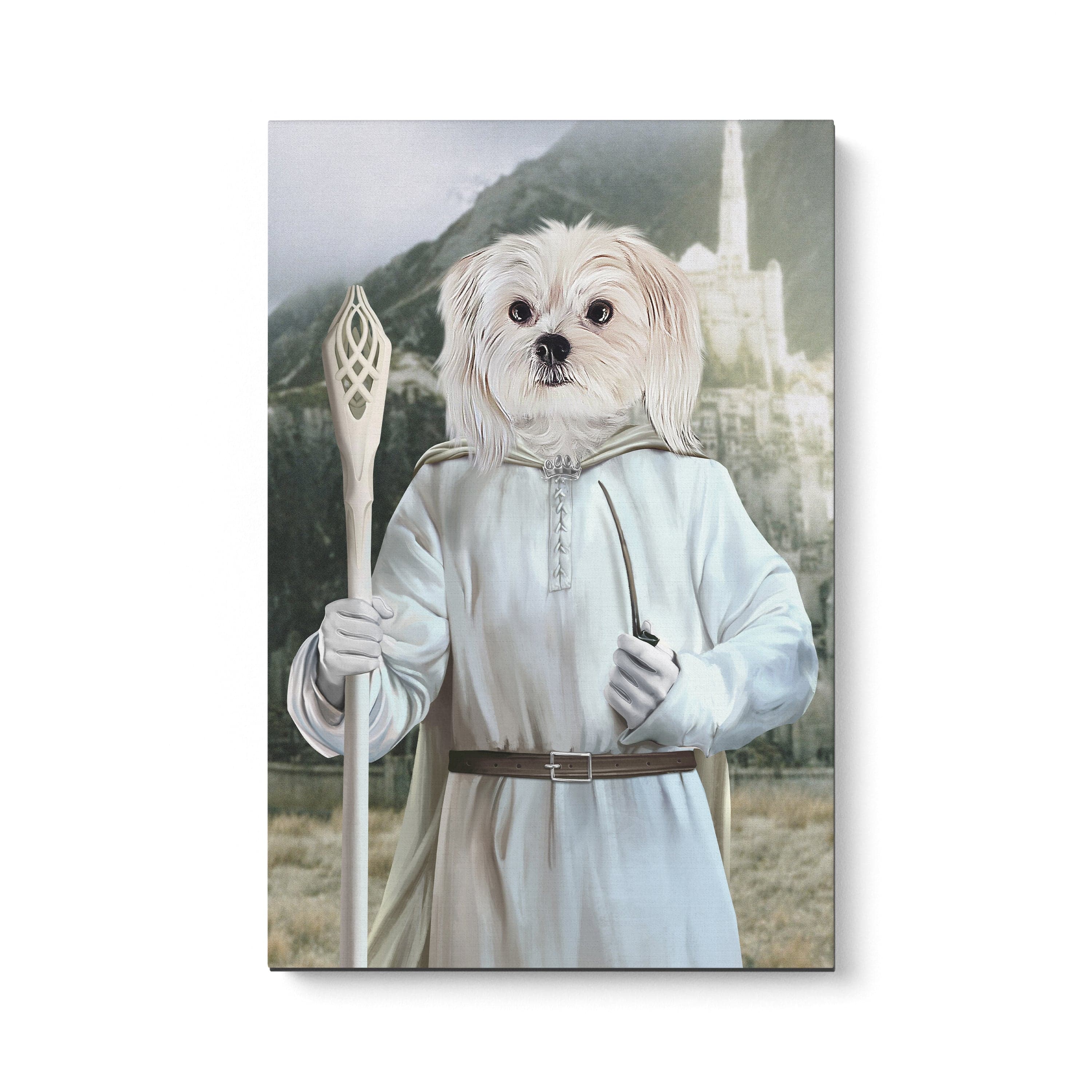 The Sorcerer - Custom Canvas