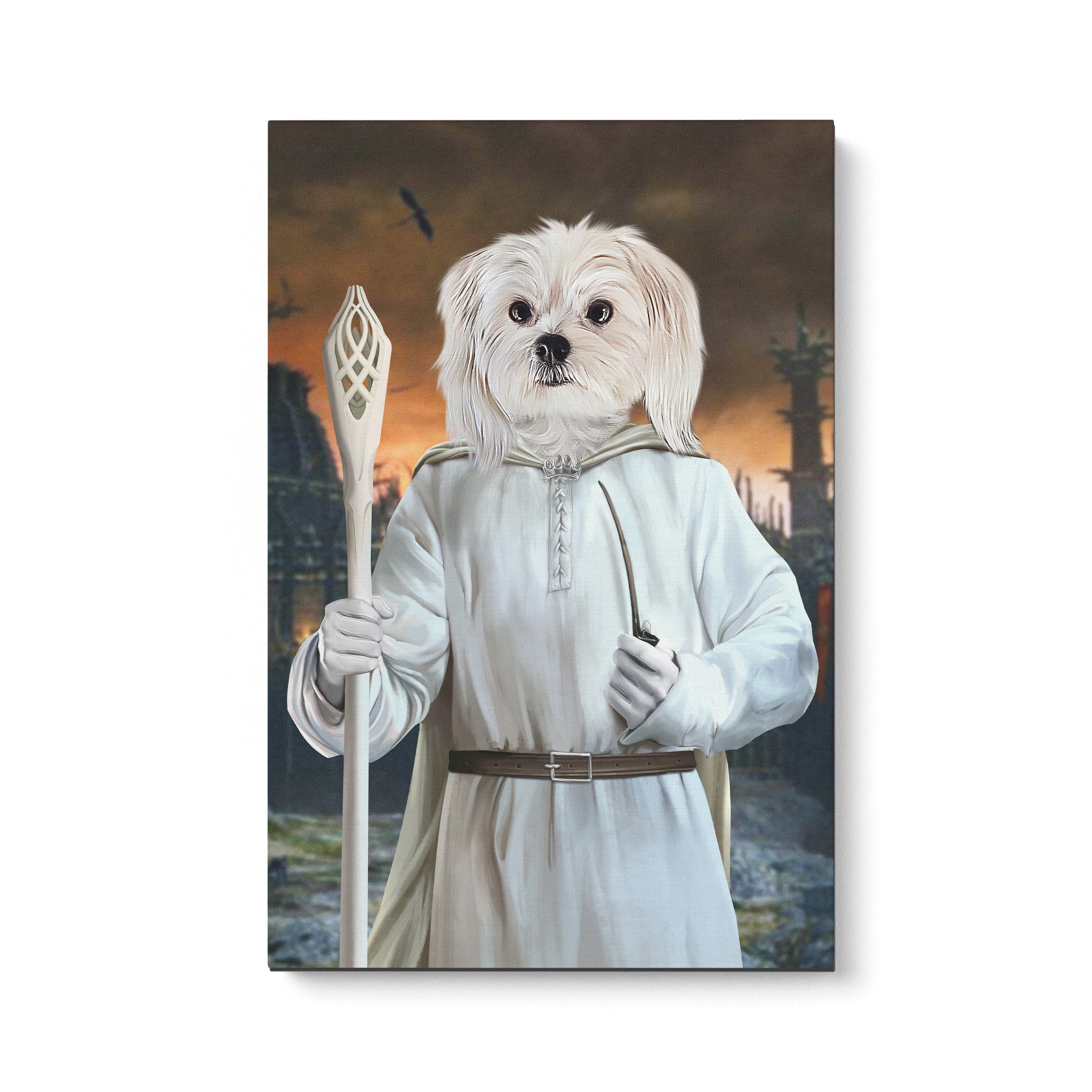 The Sorcerer - Custom Canvas
