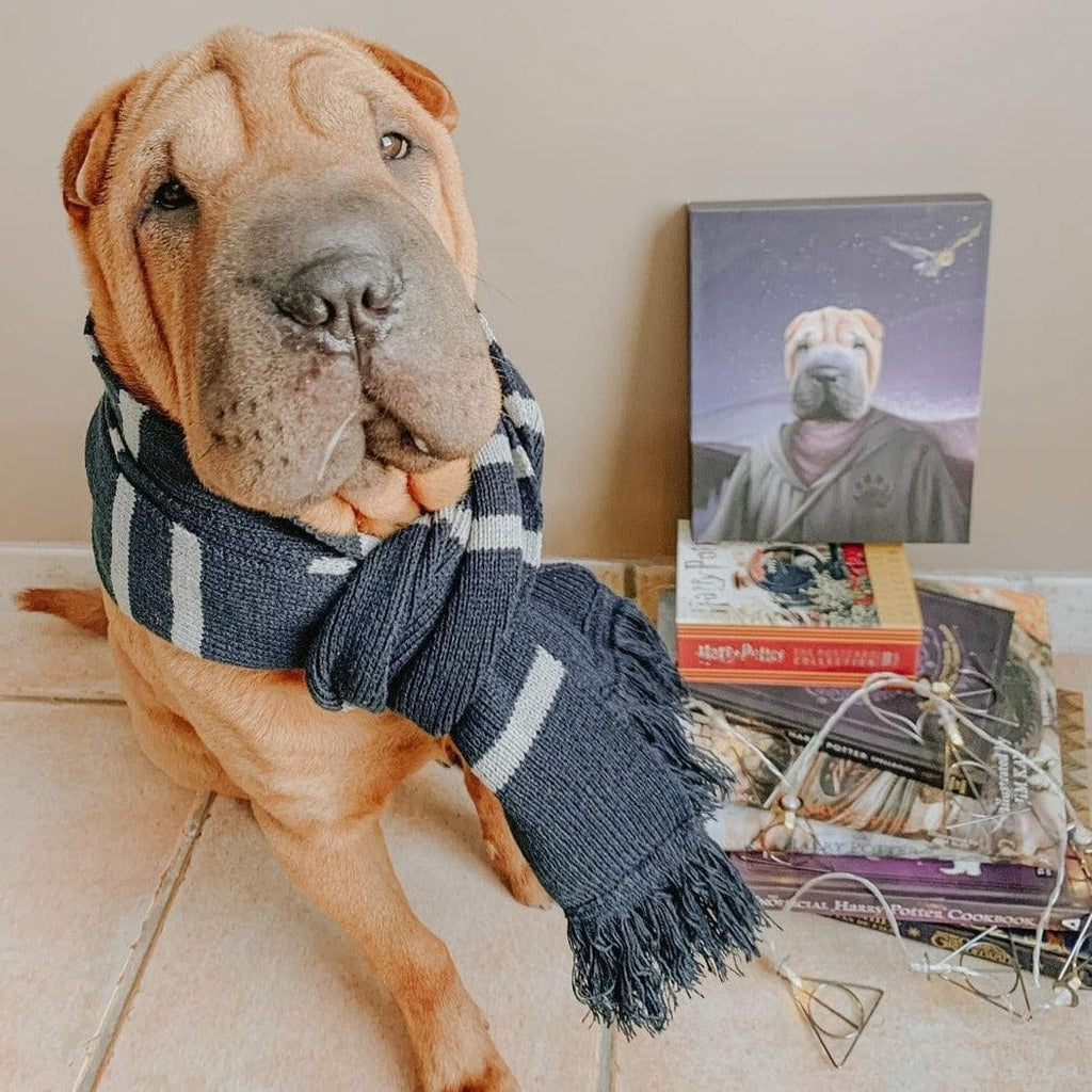 The Wizard - Custom Pet Canvas