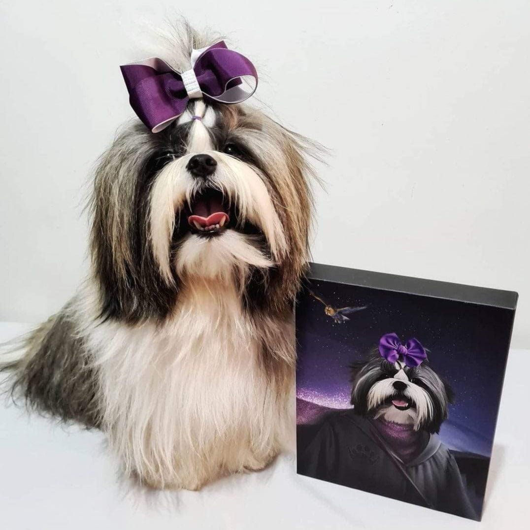 The Wizard - Custom Pet Canvas