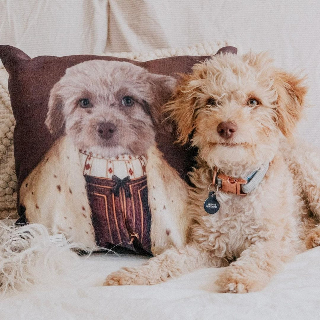 The Young King - Custom Throw Pillow