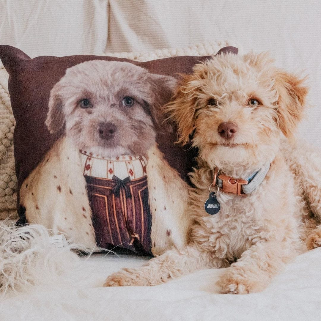 The Young King - Custom Throw Pillow