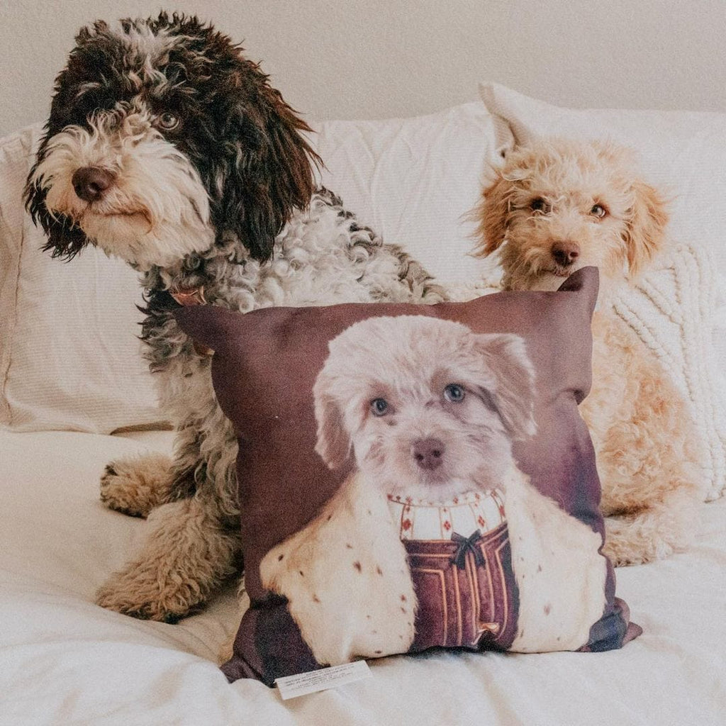 The Young King - Custom Throw Pillow