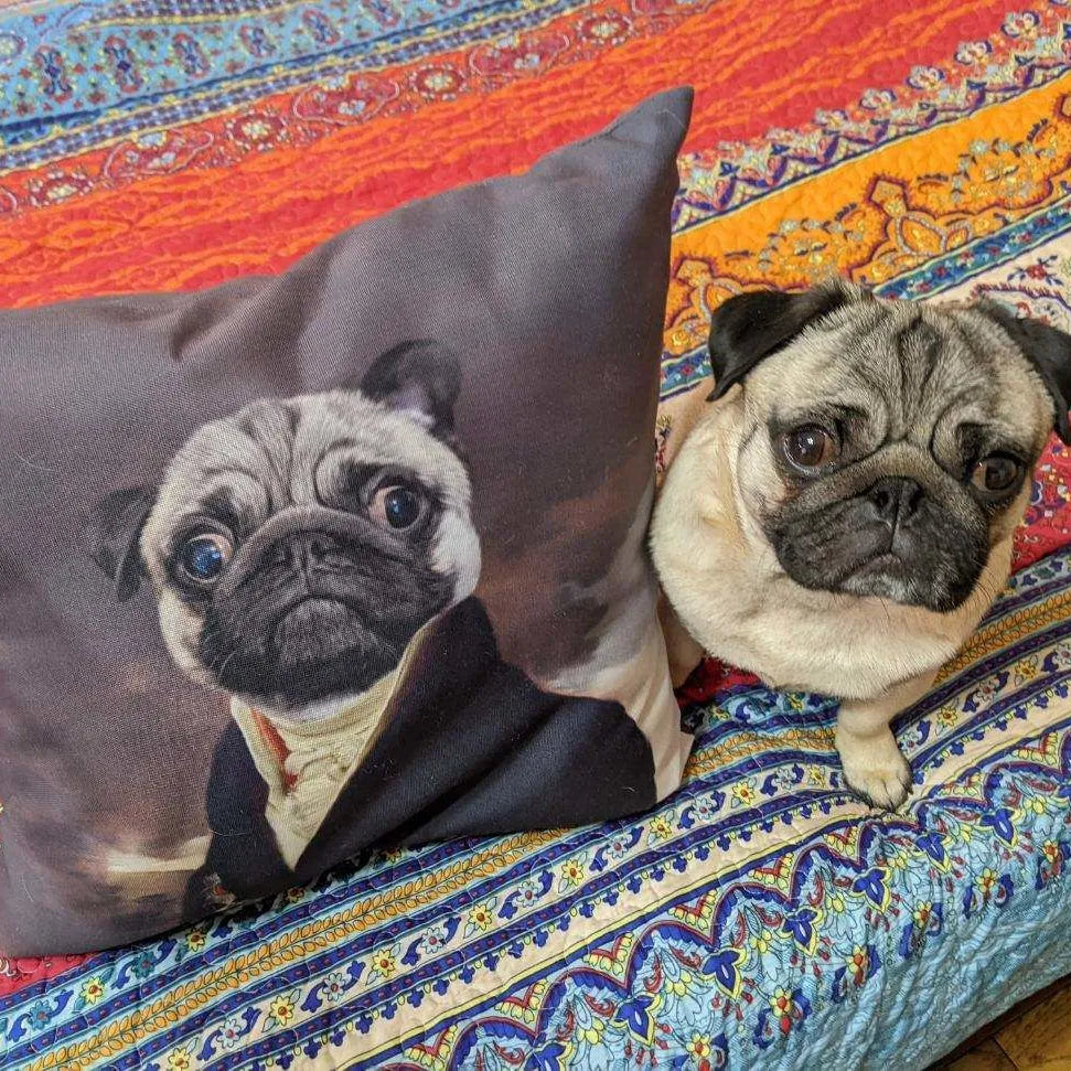The Count - Custom Throw Pillow
