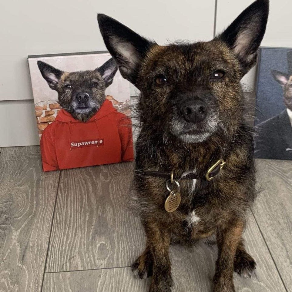 The Hypebeast - Custom Pet Canvas