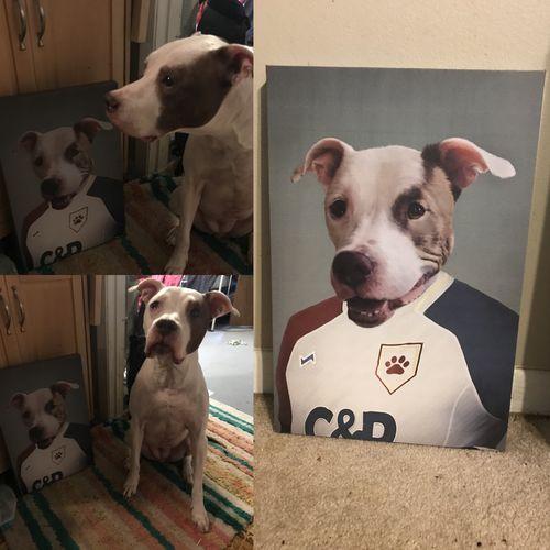 The Soccer Player - Custom Pet Canvas