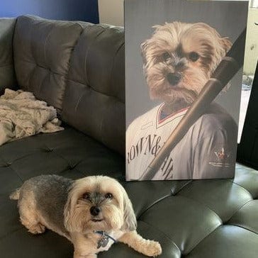 The Baseball Player - Custom Pet Canvas