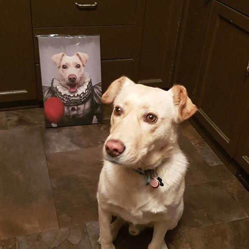 The Pennywise - Custom Pet Canvas