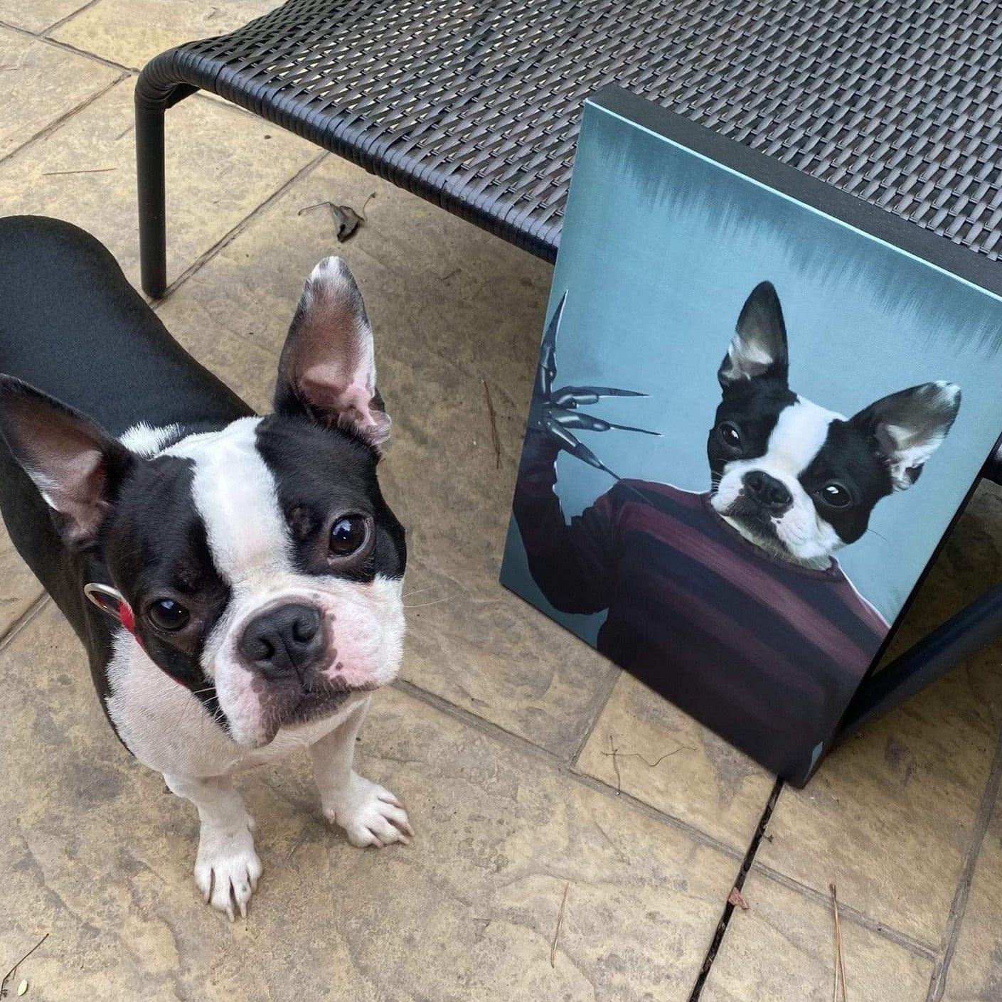 Custom Crown and Paw Halloween Pet Portrait