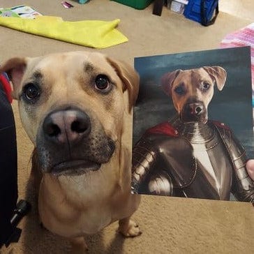 The Royal Knight - Custom Pet Canvas
