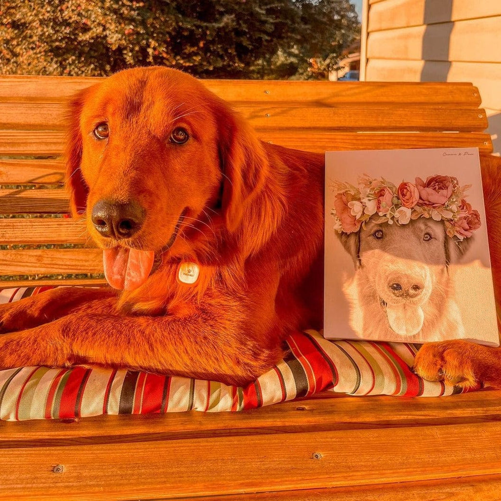 Floral Crown Pet Portrait - Custom Canvas