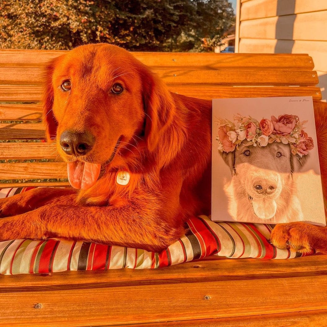 Floral Crown Pet Portrait - Custom Canvas