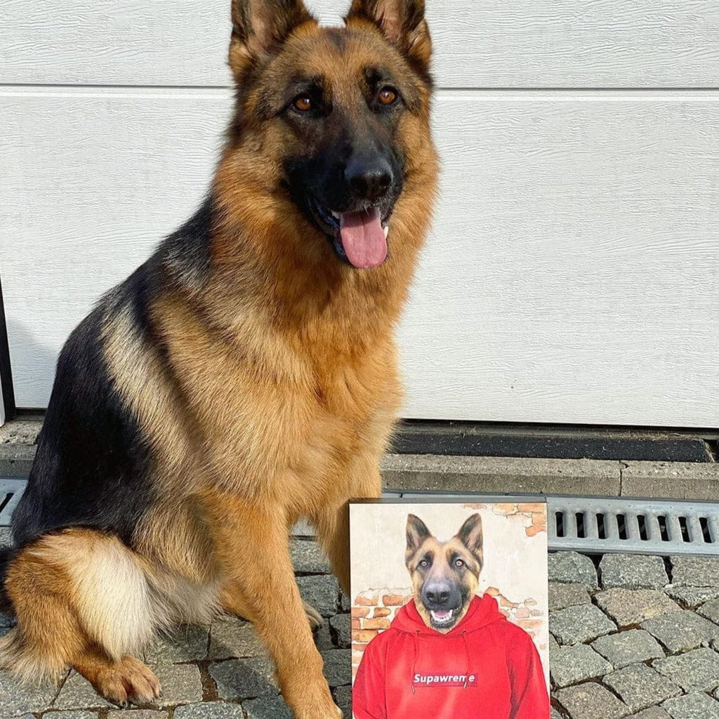 The Hypebeast - Custom Pet Canvas