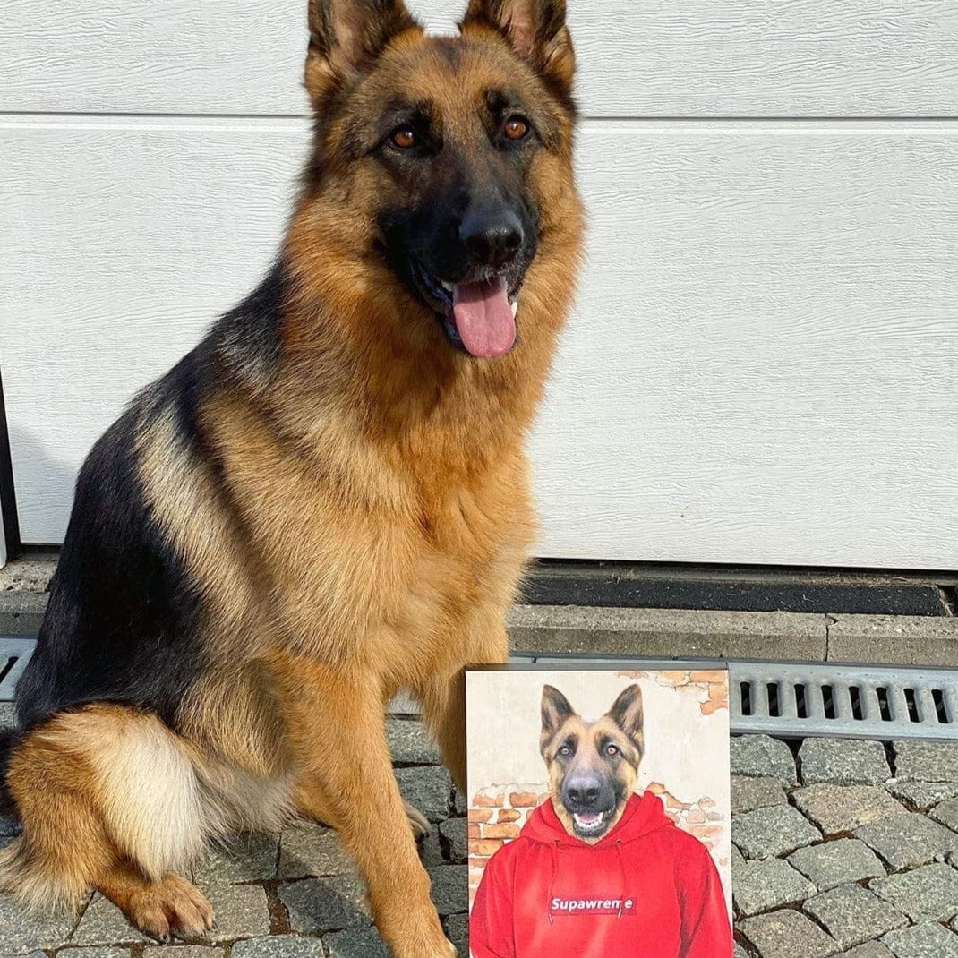 The Hypebeast - Custom Pet Canvas