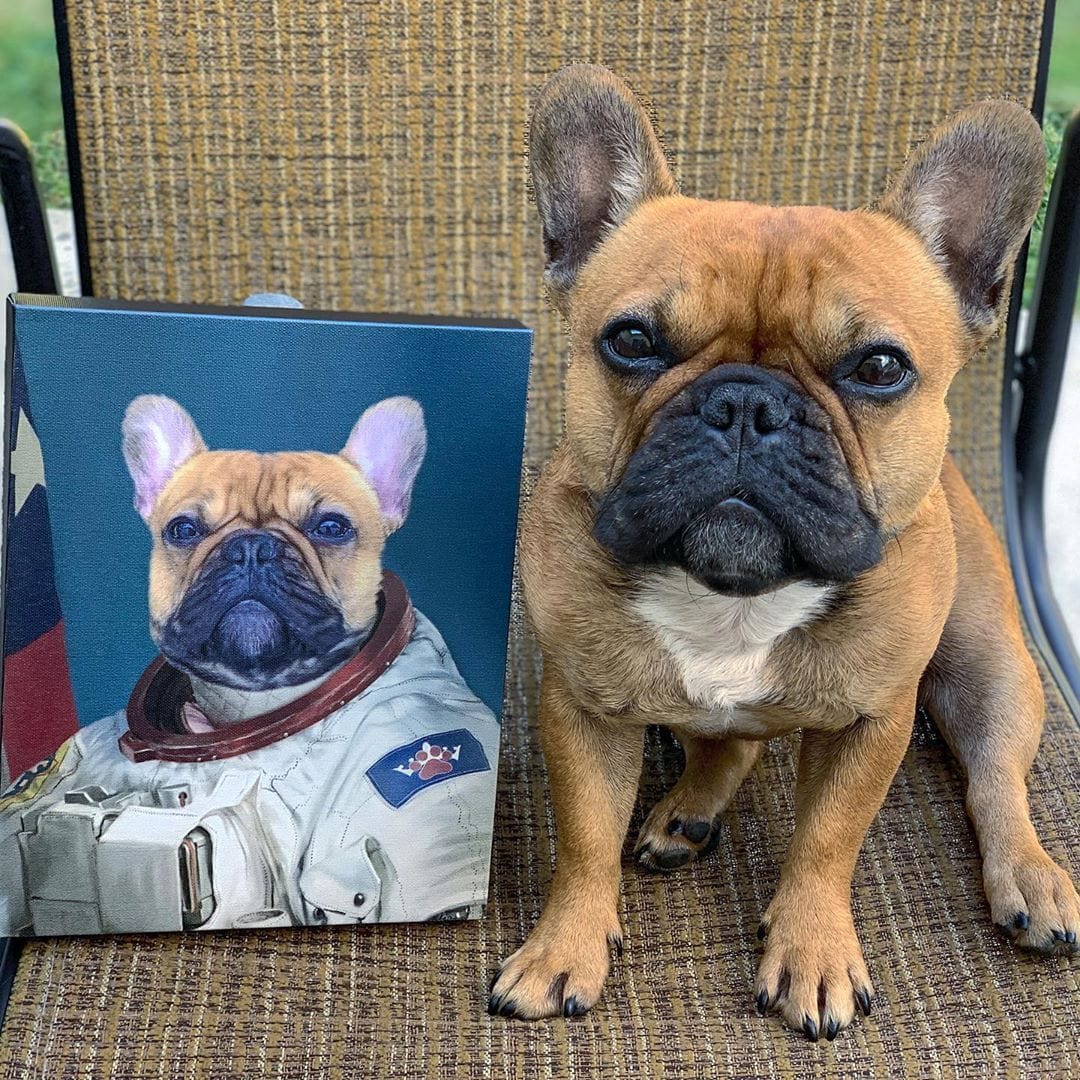 "Crown and Paw - Canvas The Astronaut - Custom Pet Canvas 8"" x 10"" / Unframed"