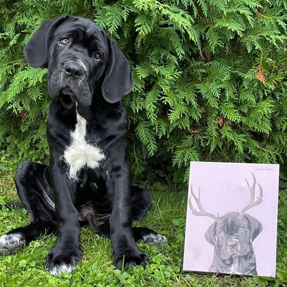 Elk Antlers Pet Portrait - Custom Canvas