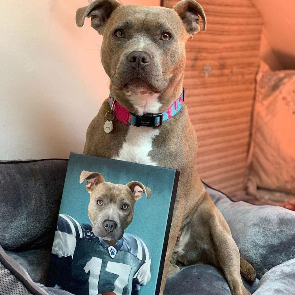 The Football Player - Custom Pet Canvas