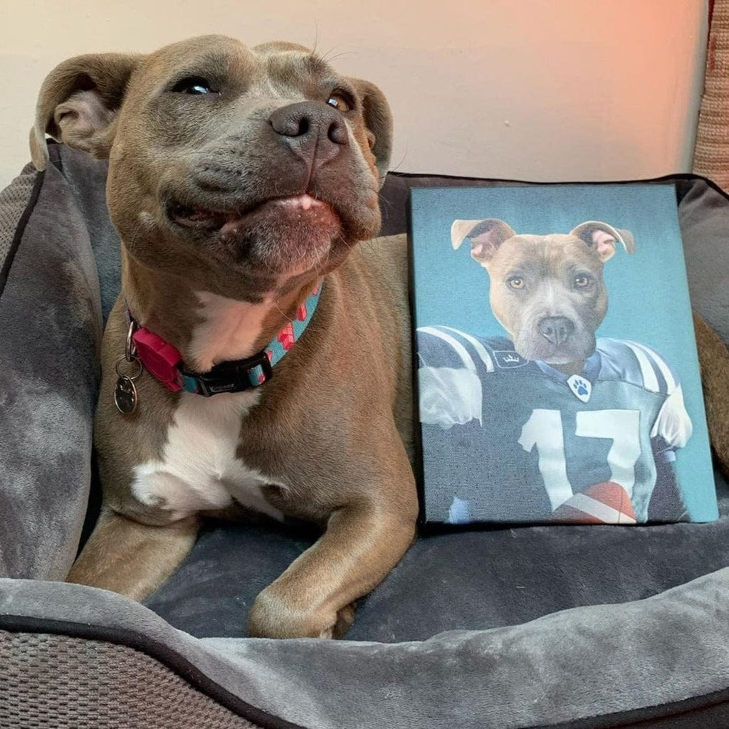 The Football Player - Custom Pet Canvas