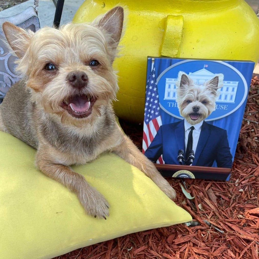 The Pawresident - Custom Pet Canvas