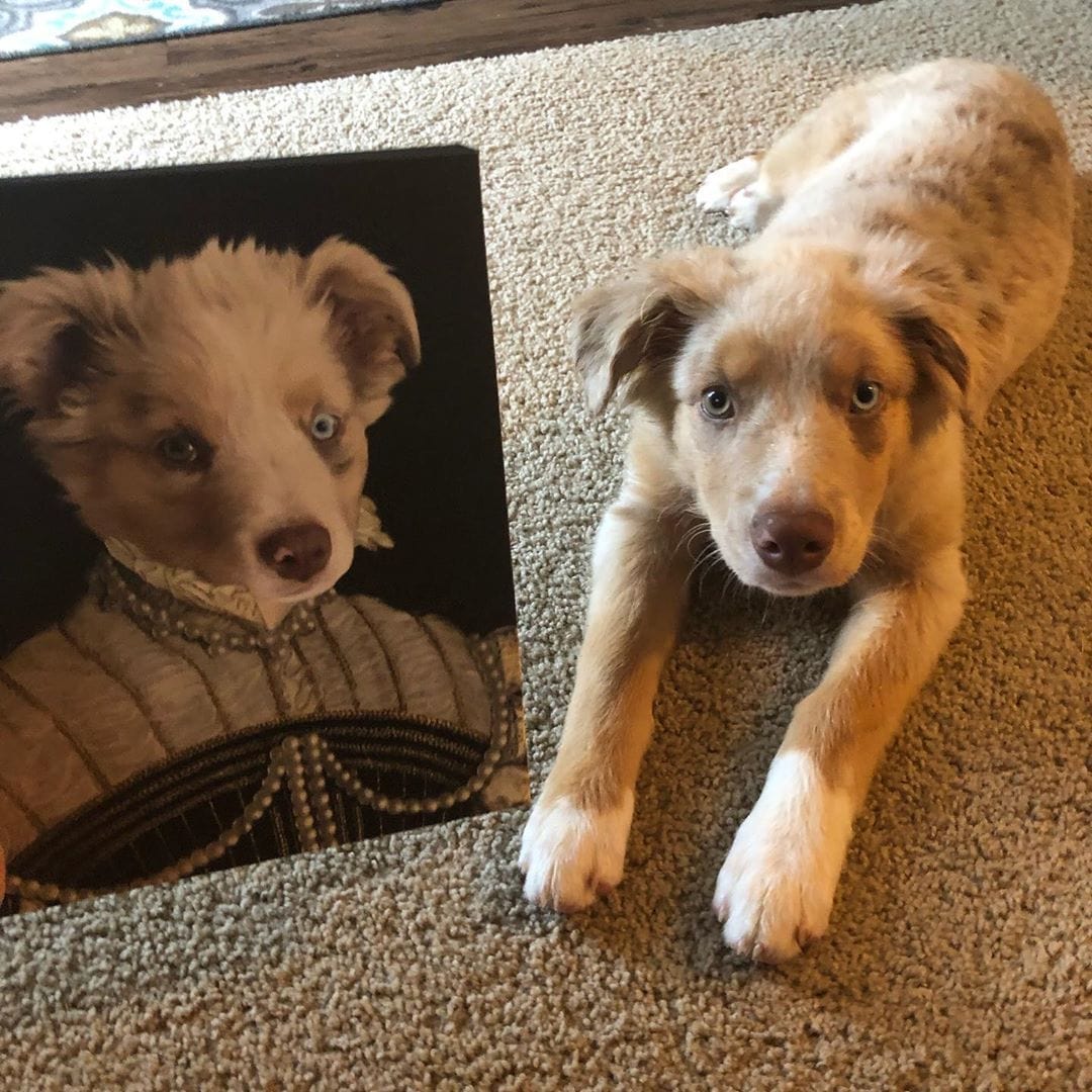 The Pearled Lady - Custom Pet Canvas