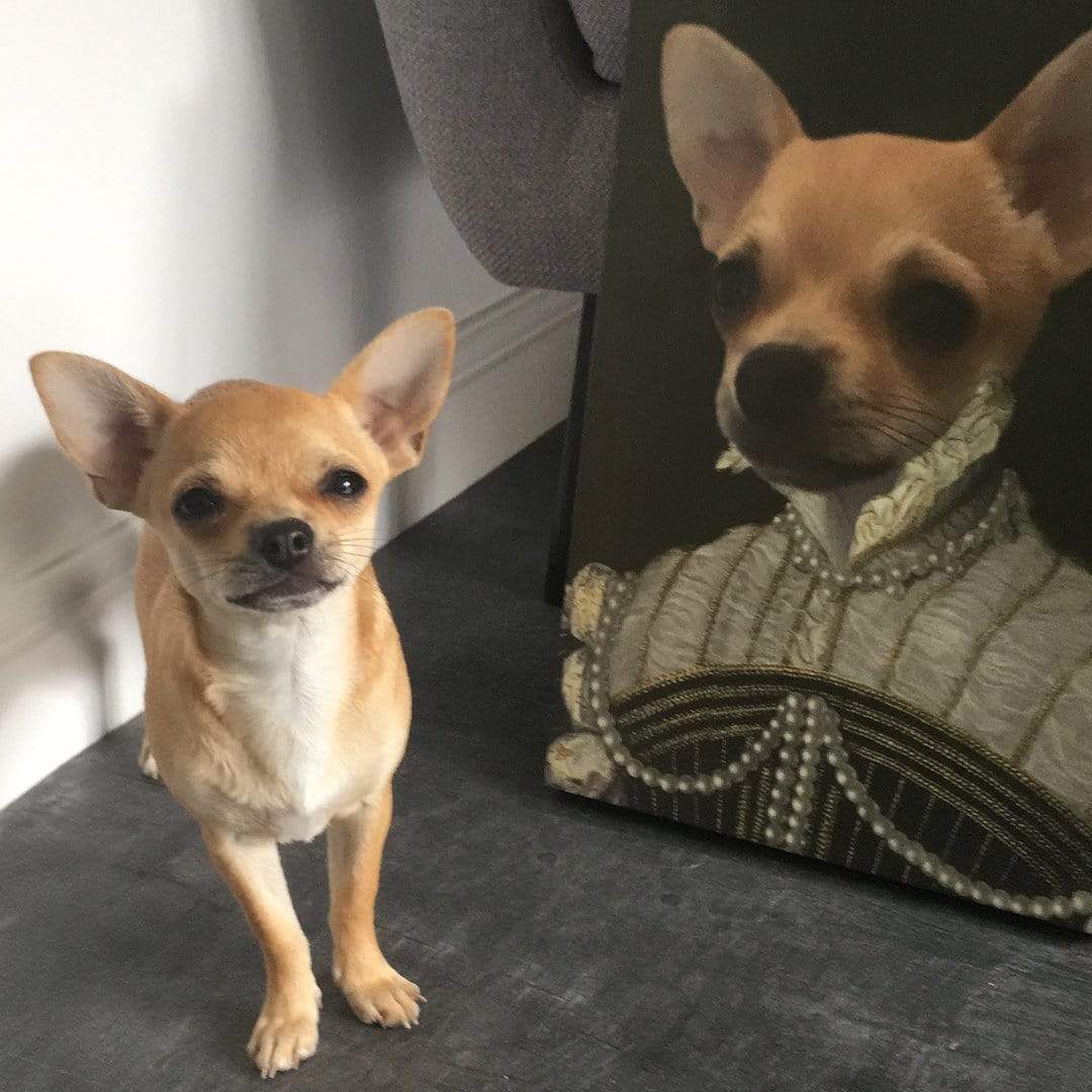 The Pearled Lady - Custom Pet Canvas