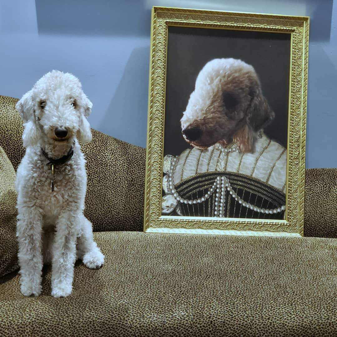 The Pearled Lady - Custom Pet Poster