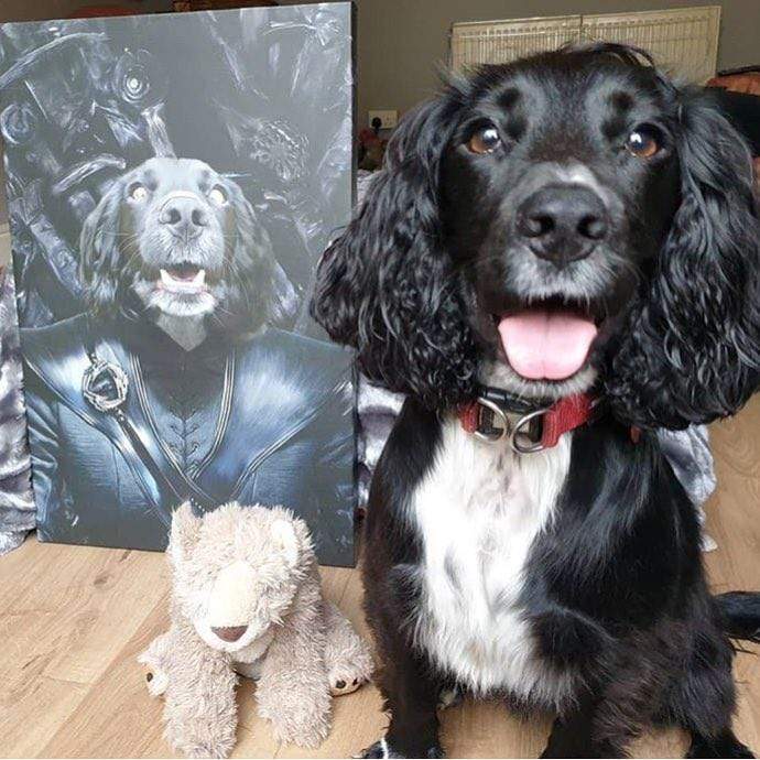 The Mother Of Dragons - Custom Pet Canvas