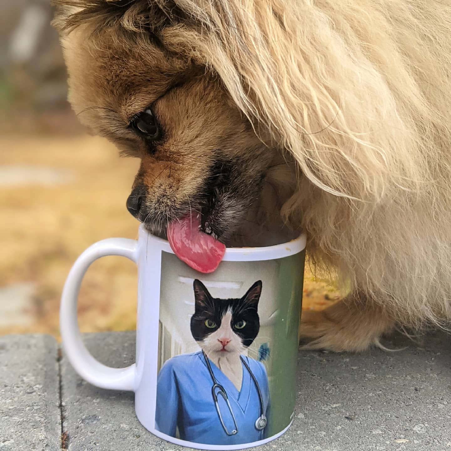 The Nurse - Custom Mug