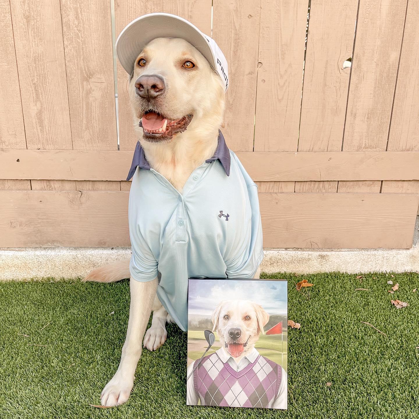 The Golfer - Custom Pet Canvas