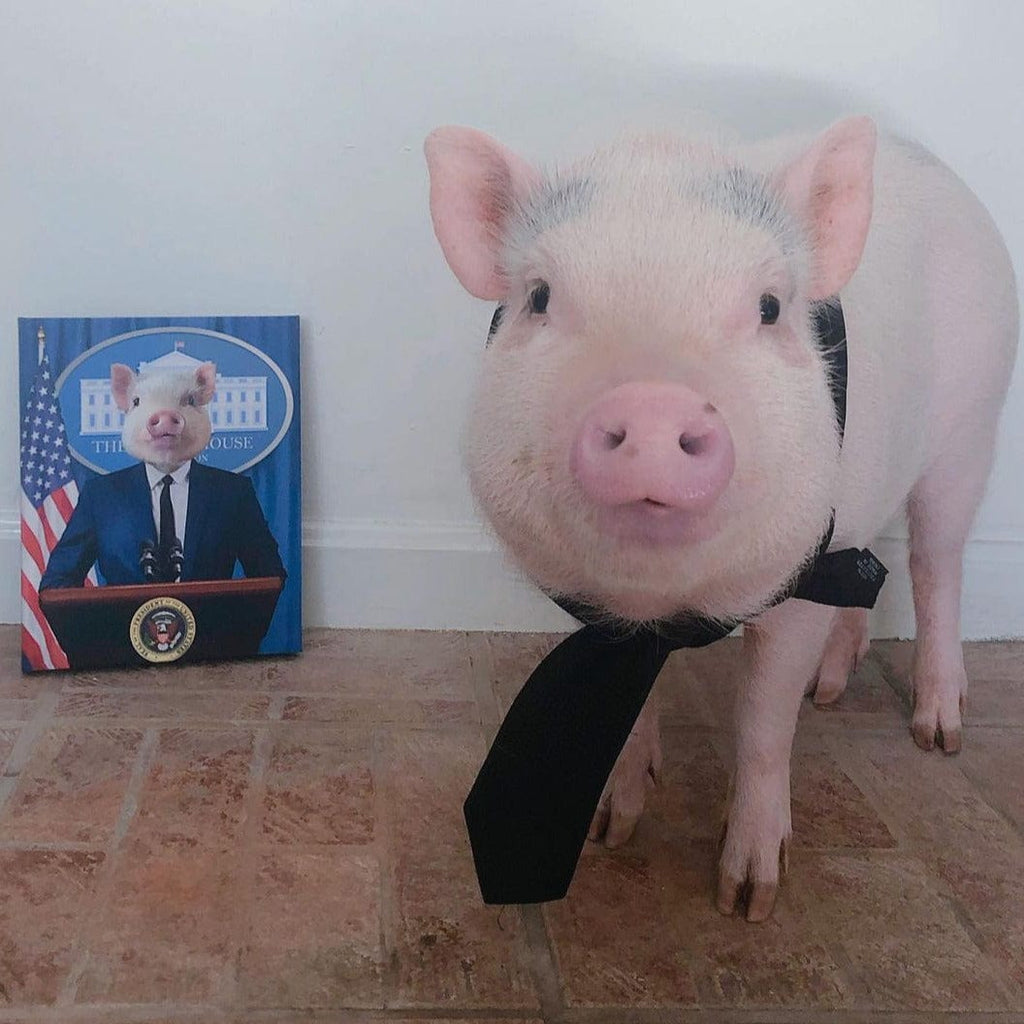 The Pawresident - Custom Pet Canvas