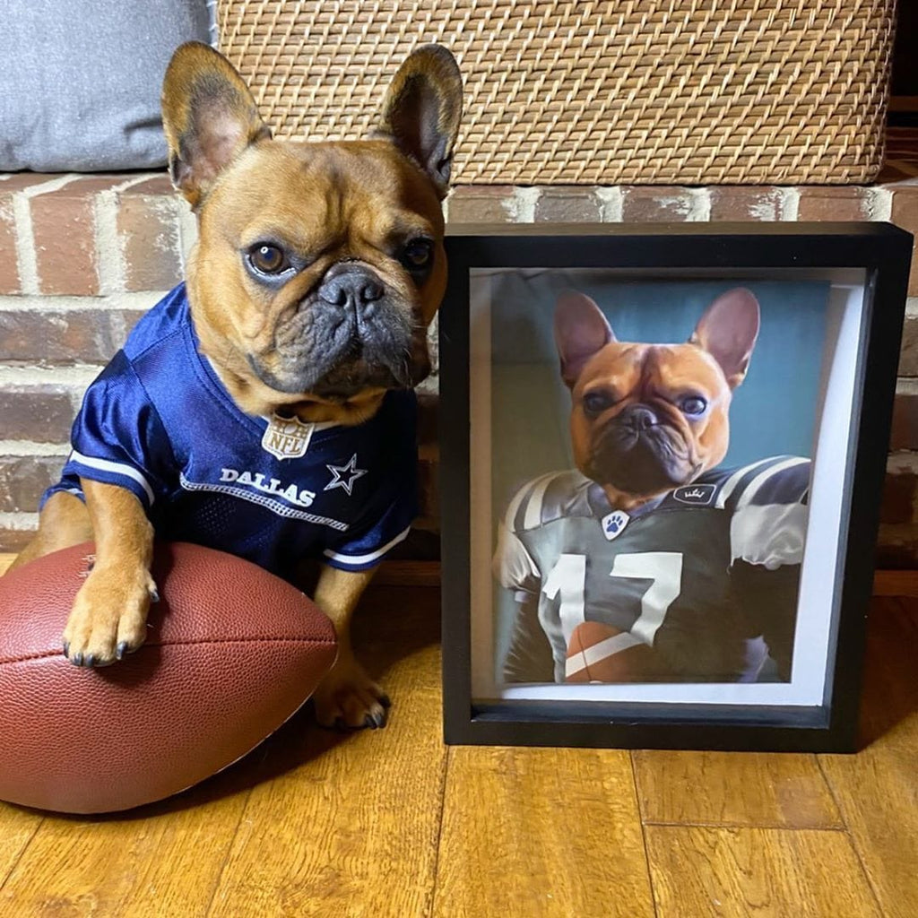The Football Player - Custom Pet Poster