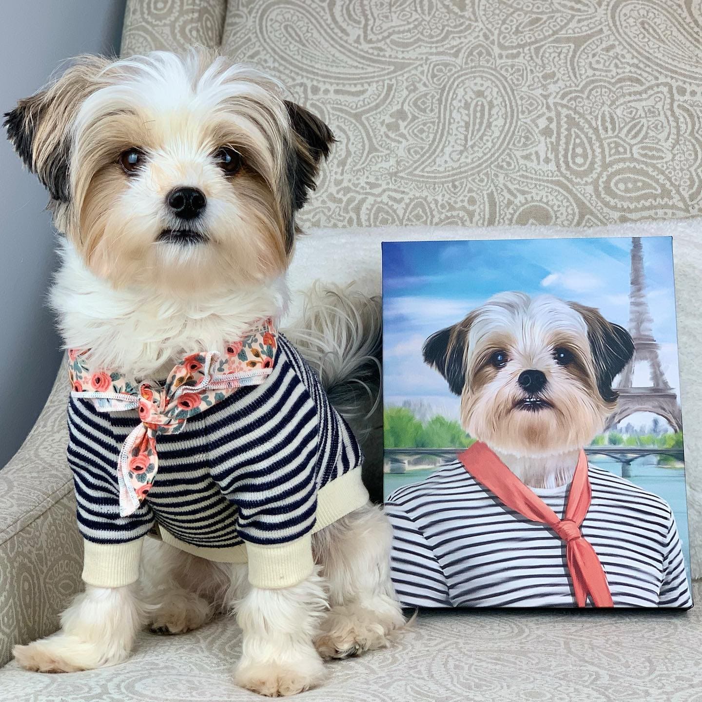 The Frenchie - Custom Pet Canvas