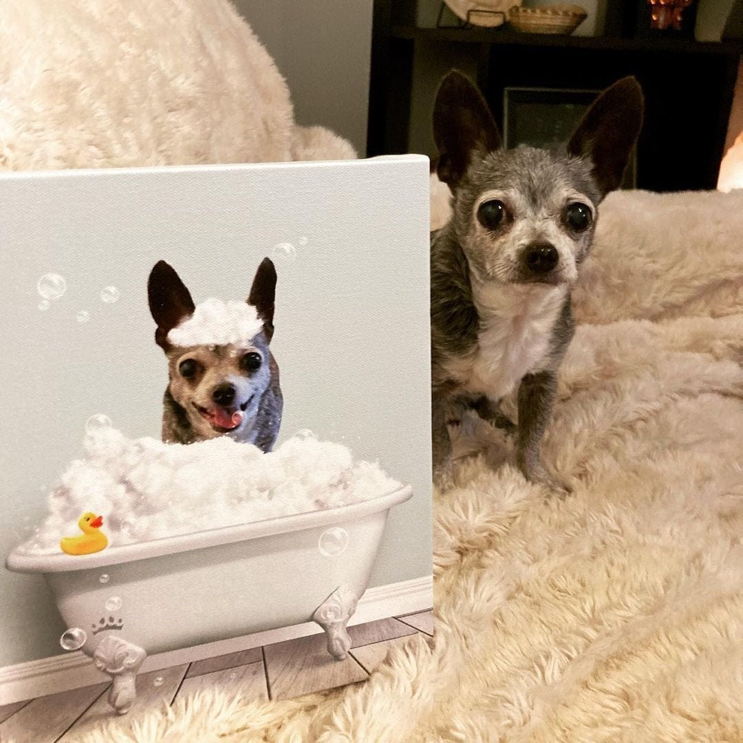 Bath Tub Pet Portrait (One Pet) - Custom Pet Art