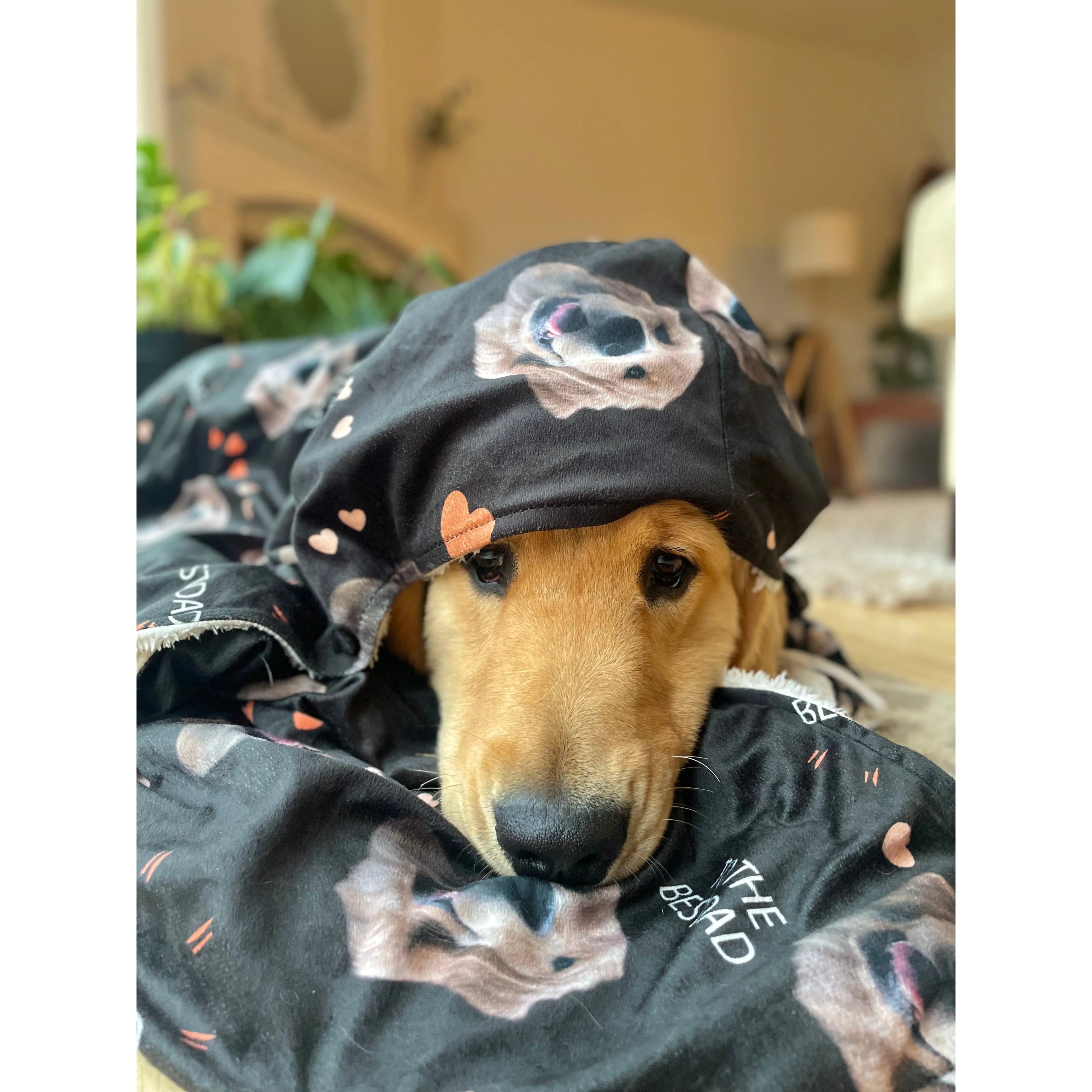Dog Dad Hooded Blanket - Super Soft Fleece with Pet Face Pattern