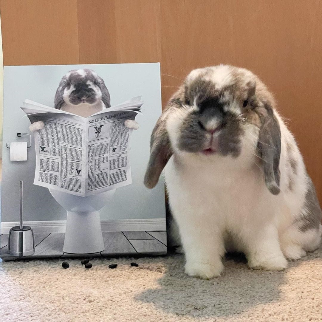 Restroom Pet Portrait - Custom Pet Art