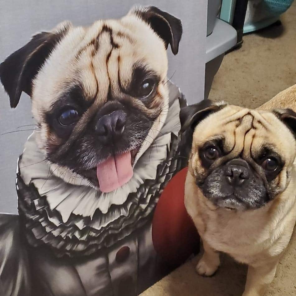 The Pennywise - Custom Pet Canvas