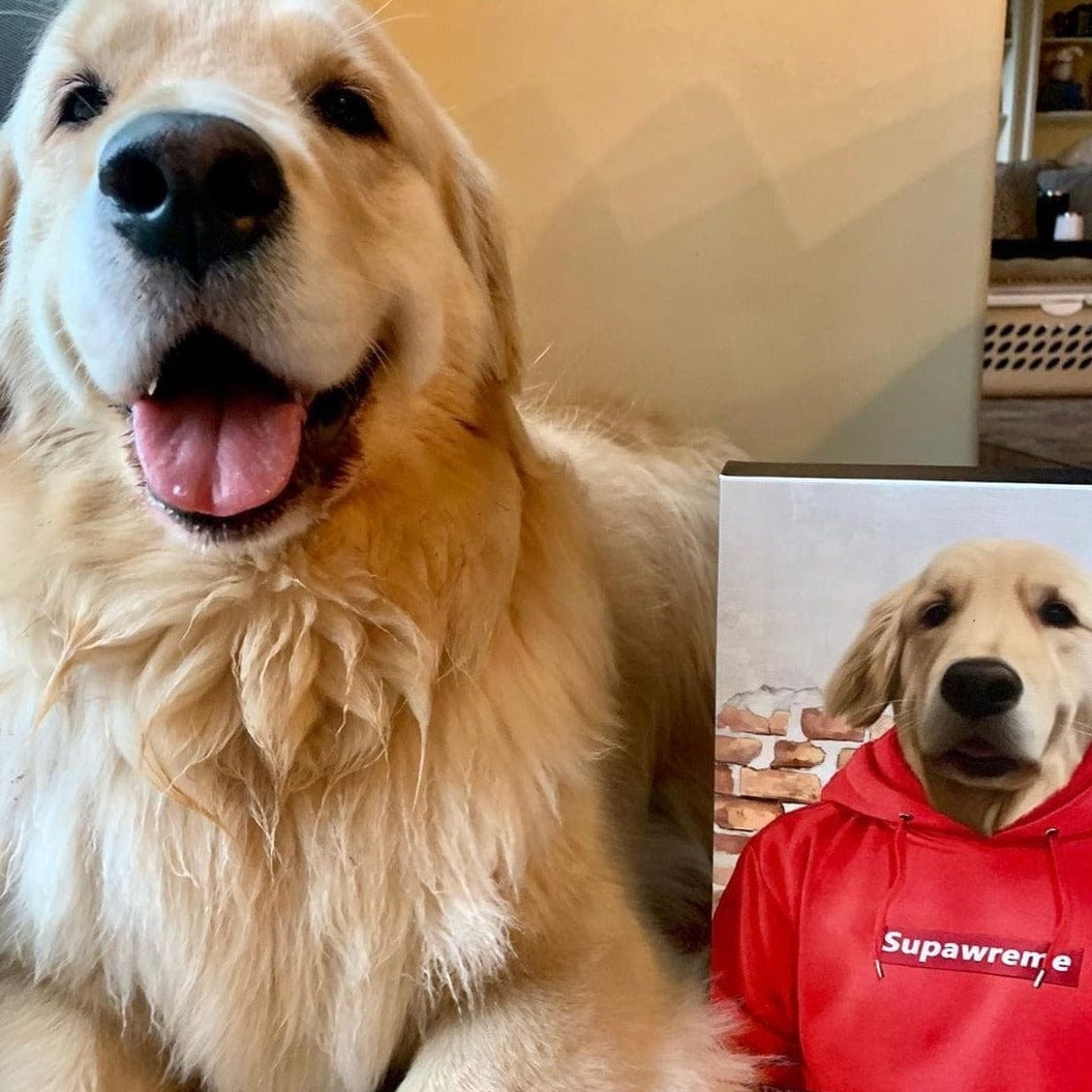 The Hypebeast - Custom Pet Canvas